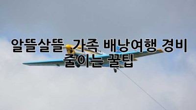 알뜰살뜰 💰 가족 배낭여행 경비 줄이는 꿀팁 🎒