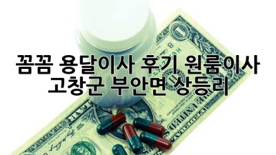 ✨ 꼼꼼 용달이사 후기! 원룸이사 @고창군 부안면 상등리 🚚💨